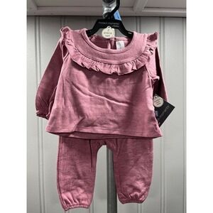 Modern Moments by Gerber Baby Girl Pink Ruffle Long Sleeve Top Pants 2 Piece Set